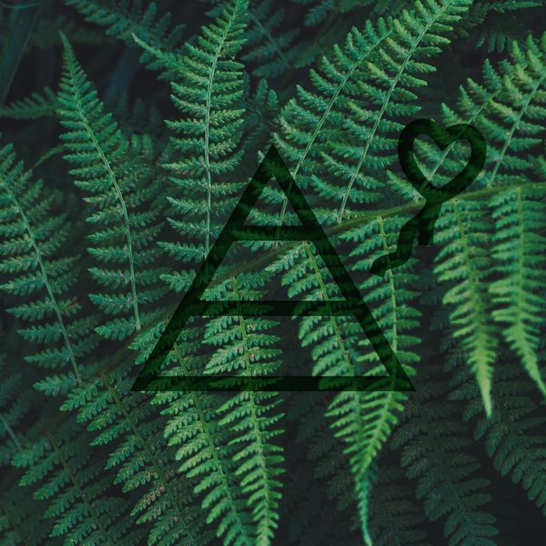 Thumbnail image of Master's Thesis: Perceived Benefits and Drawbacks of Ethical Design